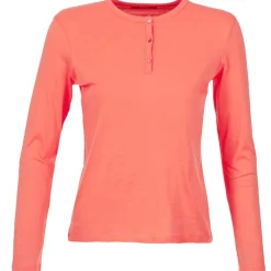 BOTD - EBISCOL Orange Online