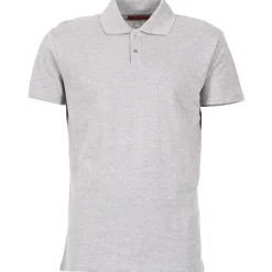 Online BOTD - EPOLARO Gris