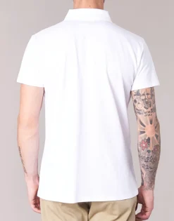 BOTD - EPOLARO Blanc New