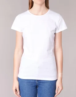 BOTD - EQUATILA Blanc