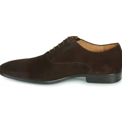 Brett & Sons - Marron Discount