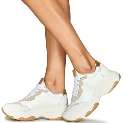 Outlet Bronx - BAISLEY Beige