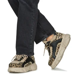 Buffalo - CLD CHAI WARM