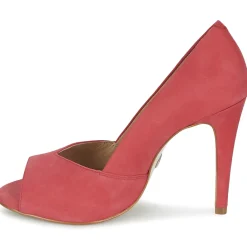 Buffalo - NOBUKO Rose