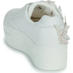 Buffalo - PAIRED BUTTERFLY