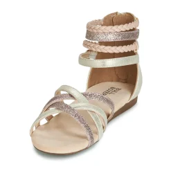 Best Bullboxer - AED009