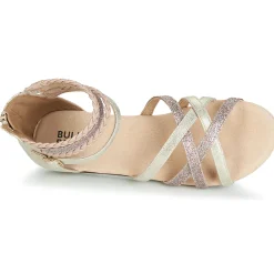 Best Bullboxer - AED009