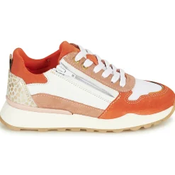 Clearance Bullboxer - AEX001E5C-SLOR