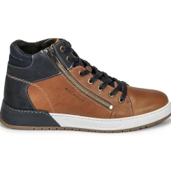 Bullboxer - AOF506COGN