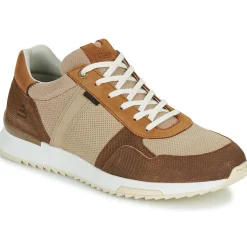 Sale Bullboxer - DEAN CUP LOW M Marron