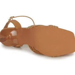 Bullboxer - 156002F2S Clearance