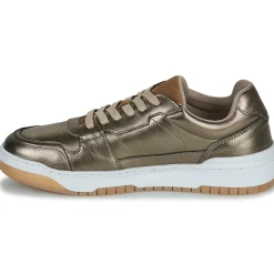 Bullboxer - NEENA LOW Doré