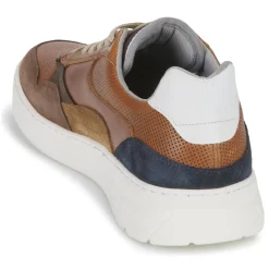 Bullboxer - 114P21857ACGBN Marron Hot