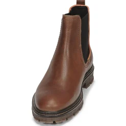 Bullboxer - SOHIL CHELSEA