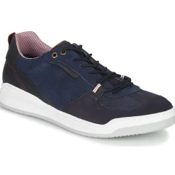 New Bullboxer - TESSA Bleu