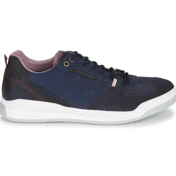 New Bullboxer - TESSA Bleu