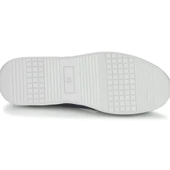 New Bullboxer - TESSA Bleu