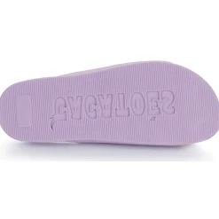 Cacatoès - BELO HORIZONTE