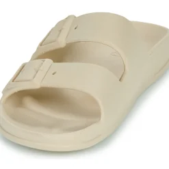 Cacatoès - BELO HORIZONTE