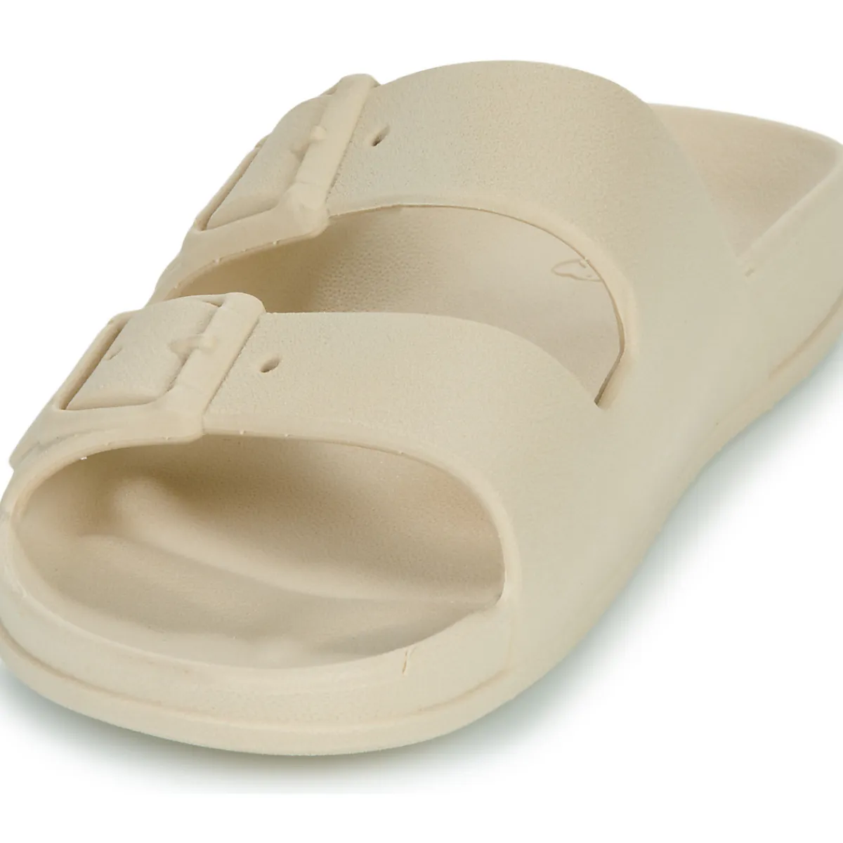 Cacatoès - BELO HORIZONTE