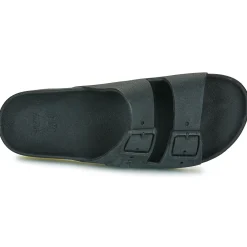 Cacatoès - BRASILIA