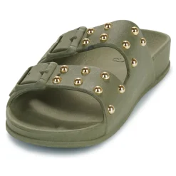 Cacatoès - FLORIANOPOLIS