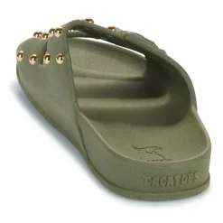 Cacatoès - FLORIANOPOLIS