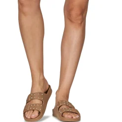 Cacatoès - FLORIANOPOLIS Camel New