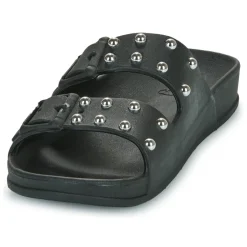 Cacatoès - FLORIANOPOLIS Noir New