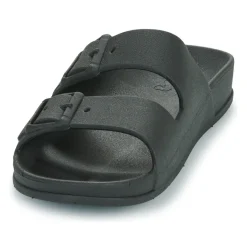 Cacatoès - RIO DE JANEIRO