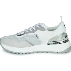 Clearance Café Noir - C1DL9110