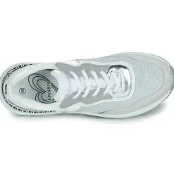 Clearance Café Noir - C1DL9110