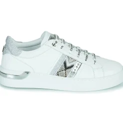 Café Noir - C1DS9210