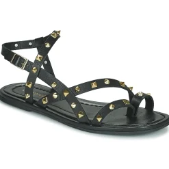 Café Noir - C1GD1040 Noir New