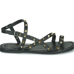 Café Noir - C1GD1040 Noir New