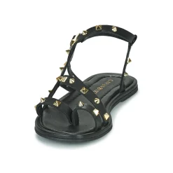 Café Noir - C1GD1040 Noir New