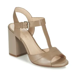 Café Noir - GIMOTTI