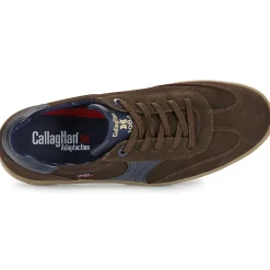 CallagHan - AMANCI LUXE