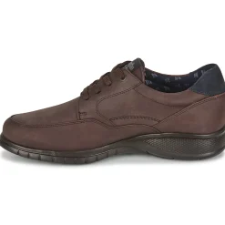 CallagHan - FREEMIND