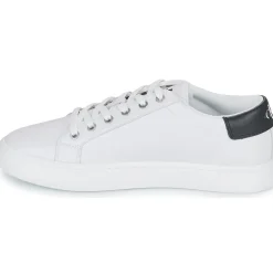 Calvin Klein Jeans - CLASSIC CUPSOLE LACEUP LOW LTH