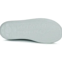 Best Camper - BEET Marine