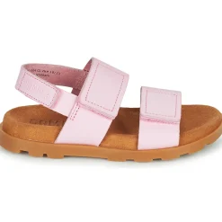 Camper - BRTS Rose Best