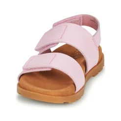 Camper - BRTS Rose Best