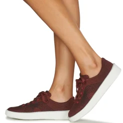 Clearance Camper - COURB Bordeaux