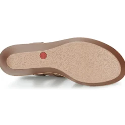 Camper - DAMAS Marron