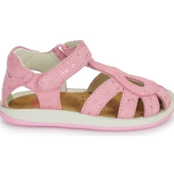 Hot Camper - K800363-013 Rose