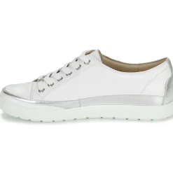 Clearance Caprice - BUSCETI