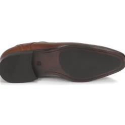 Carlington - NANDY Marron Hot