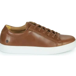 New Carlington - SERIAL Marron