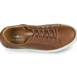 New Carlington - SERIAL Marron